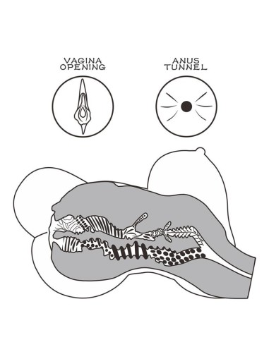 Masturbador realista Con Torso Streetgirls 6