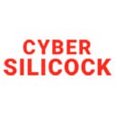 Cyber Silicock